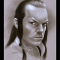 Lord Elrond / Hugo Weaving
