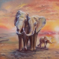 Słonie, Olej na płótnie. Prezent Ślubny
