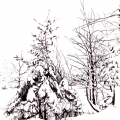 zima w lesie,czarny tusz,format A5